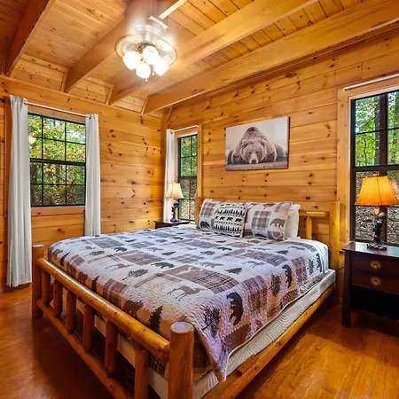 Great Smoky Mountains Cabin!, Secluded, Pet-Kid Friendly! Sevierville Exterior photo