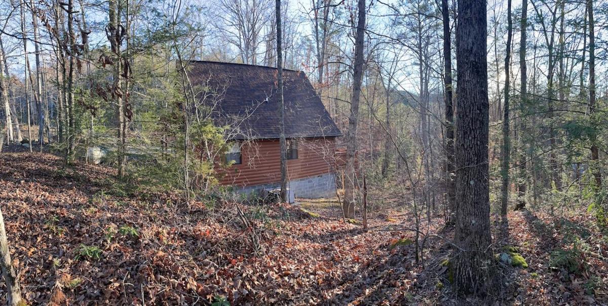 Great Smoky Mountains Cabin!, Secluded, Pet-kid Friendly! Hébergement de vacances